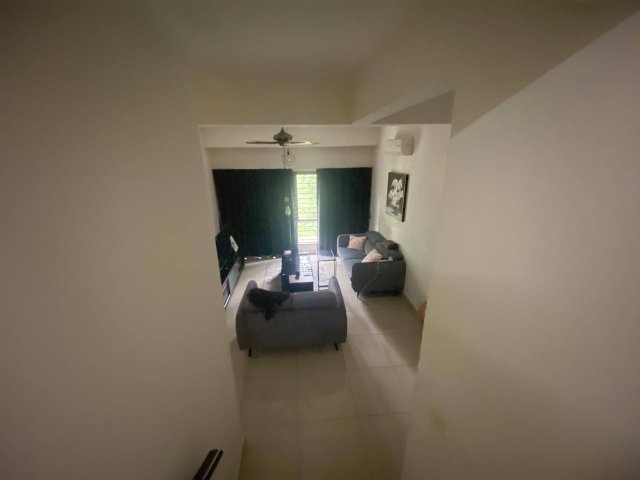 Photo 7 of 7